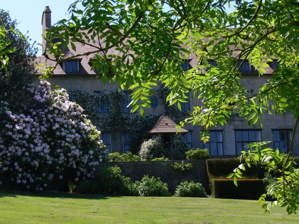 Bois des Moutiers (256) Mai 2012